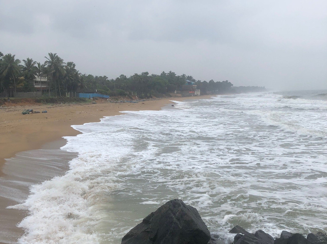 Auro Beach景点图片