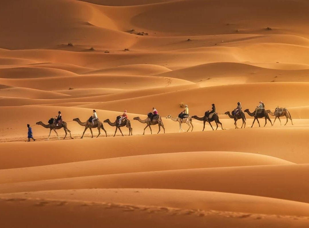 La Luna Del Sahara Tours-伊拉悉迪亚必去景点