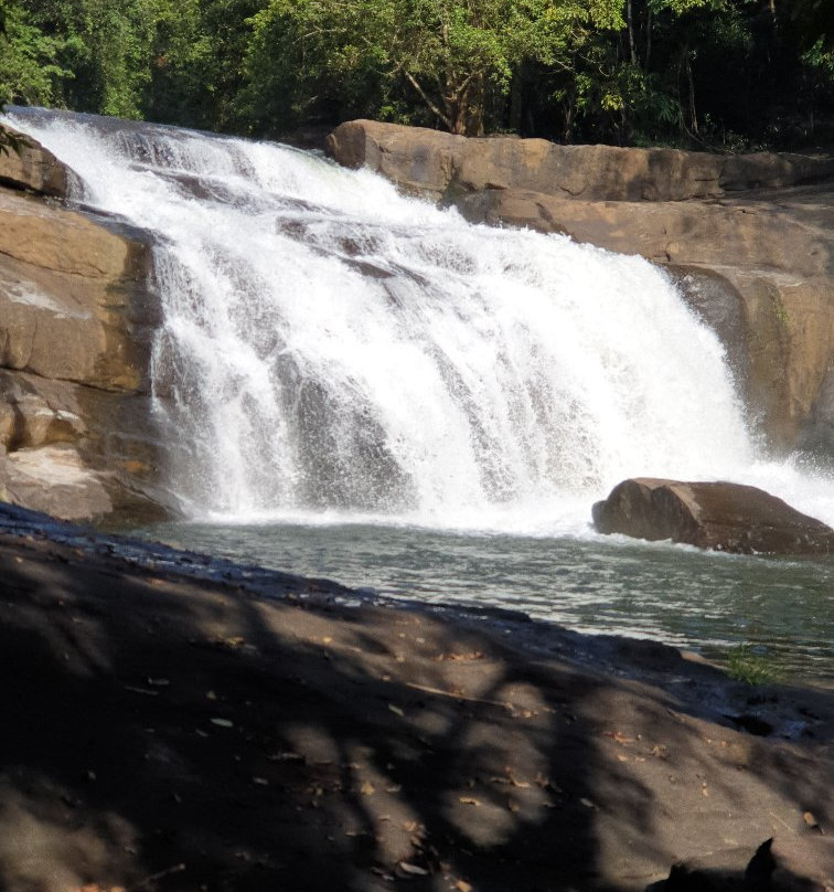 Thommankuthu Waterfalls景点图片