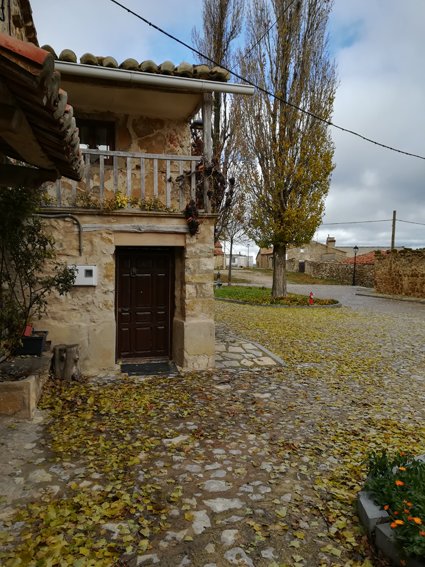 La Casa de los Diezmos-portrait