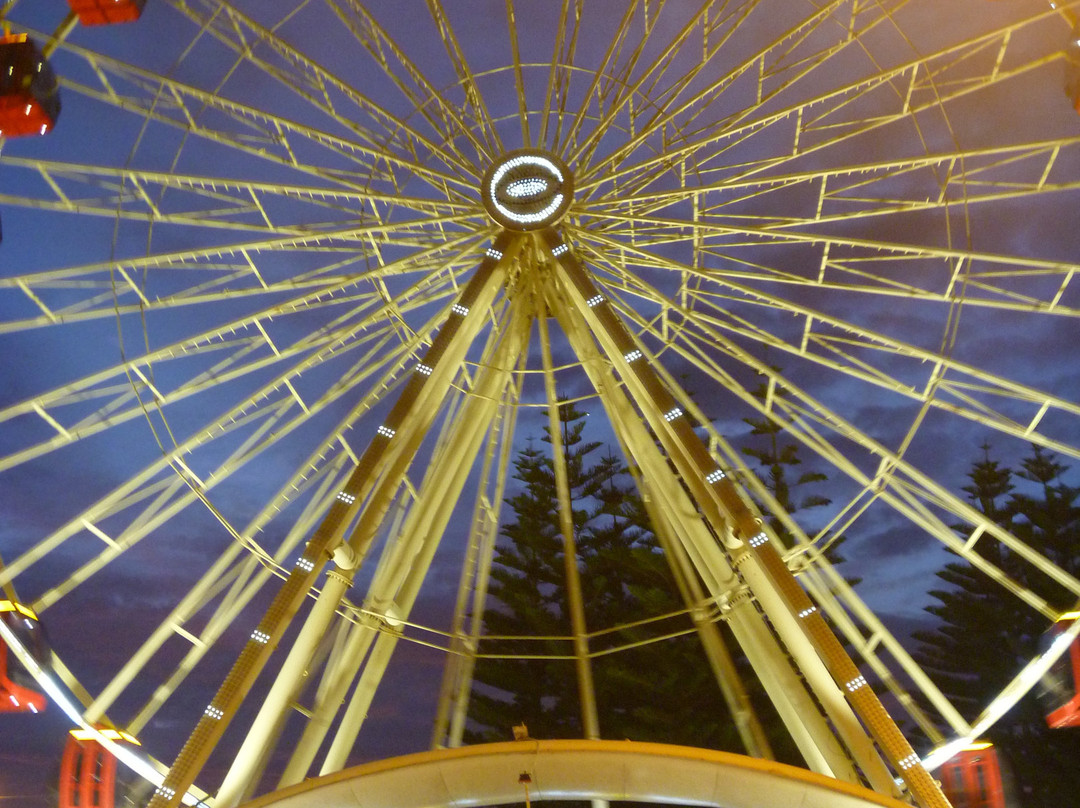 Tourist Wheel Fremantle景点图片