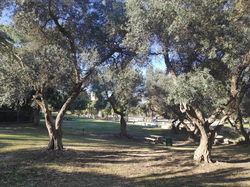 Ashkelon national park景点图片