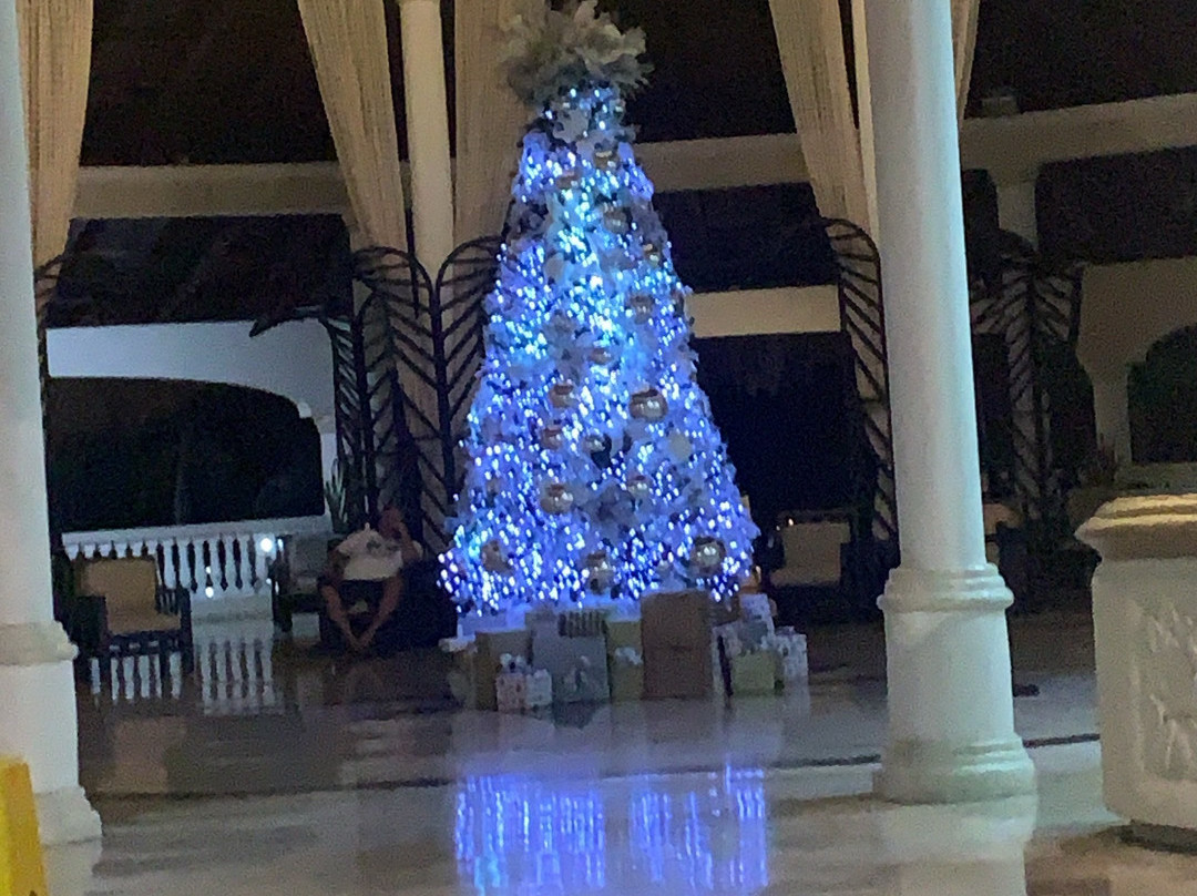 皇家优质套房酒店主图