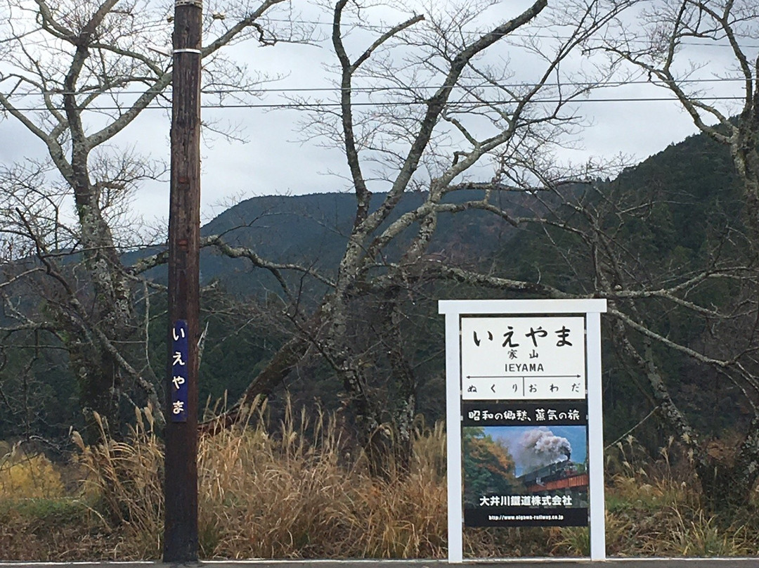 Ieyama Station景点图片