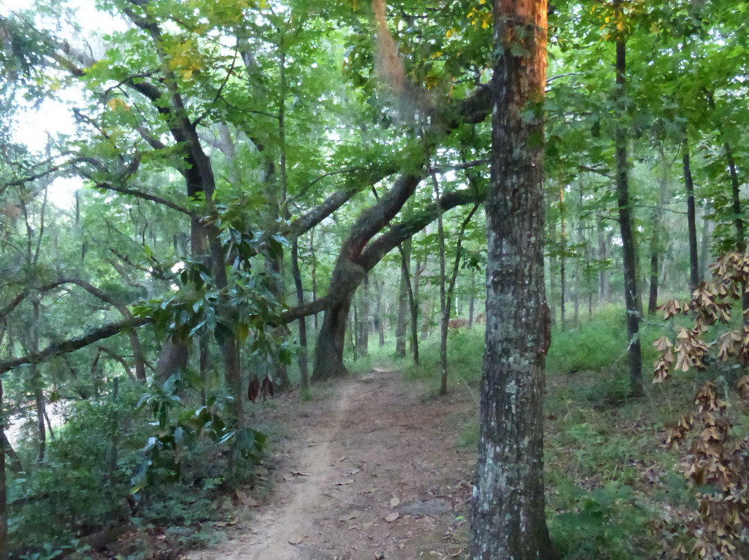 JR Alford Greenway Trail-塔拉哈西必去景点
