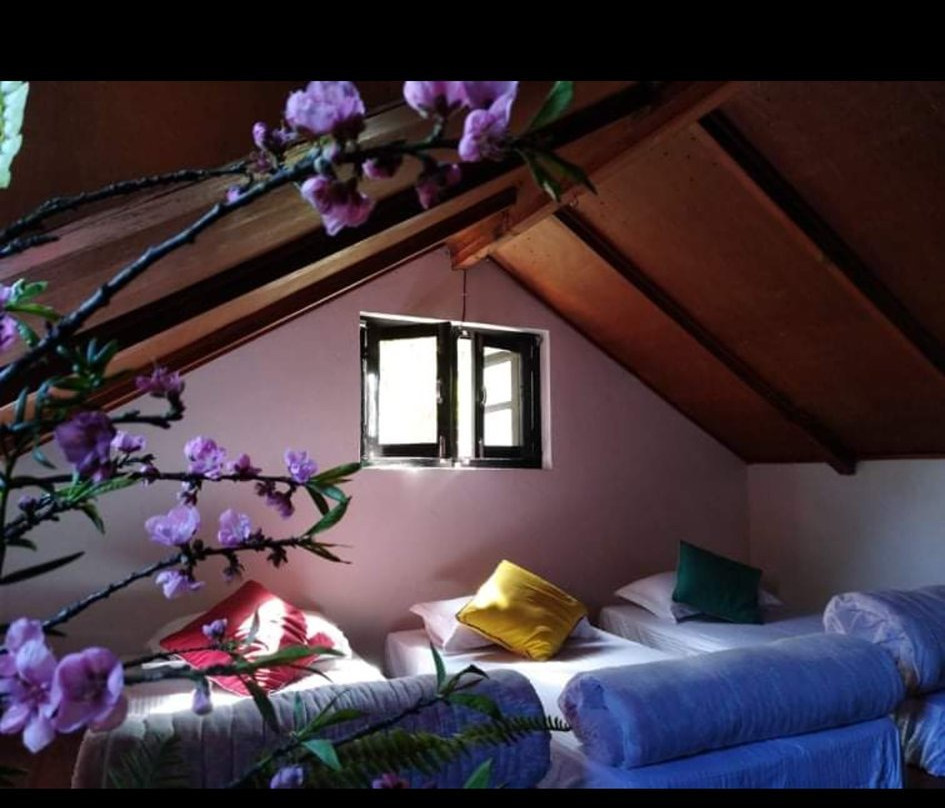 Bardalinn Resort主图