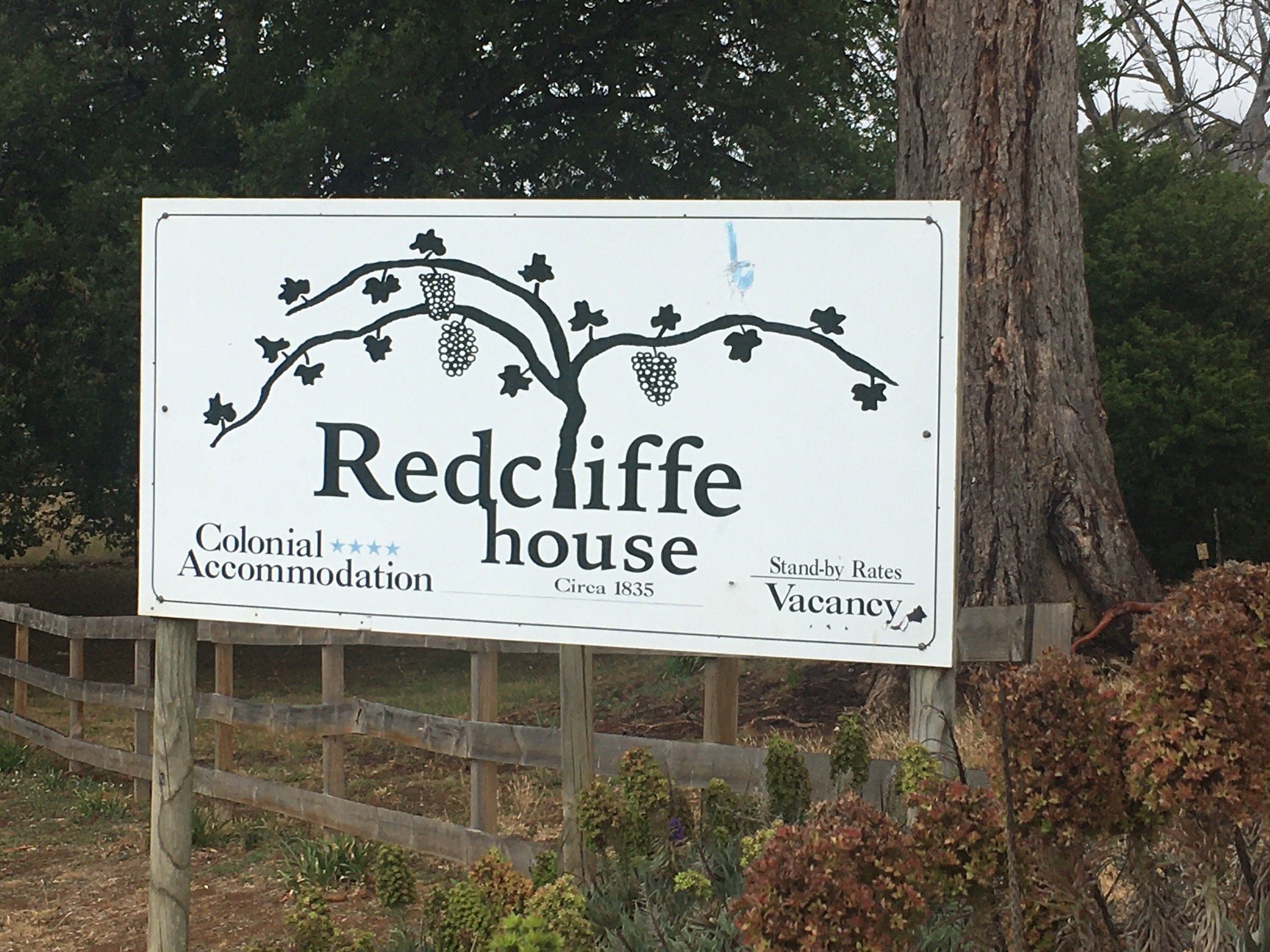Redcliffe House-官方