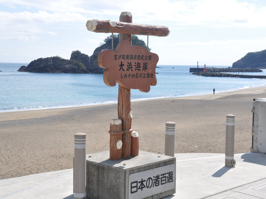 Ohama Coast-美波町必去景点