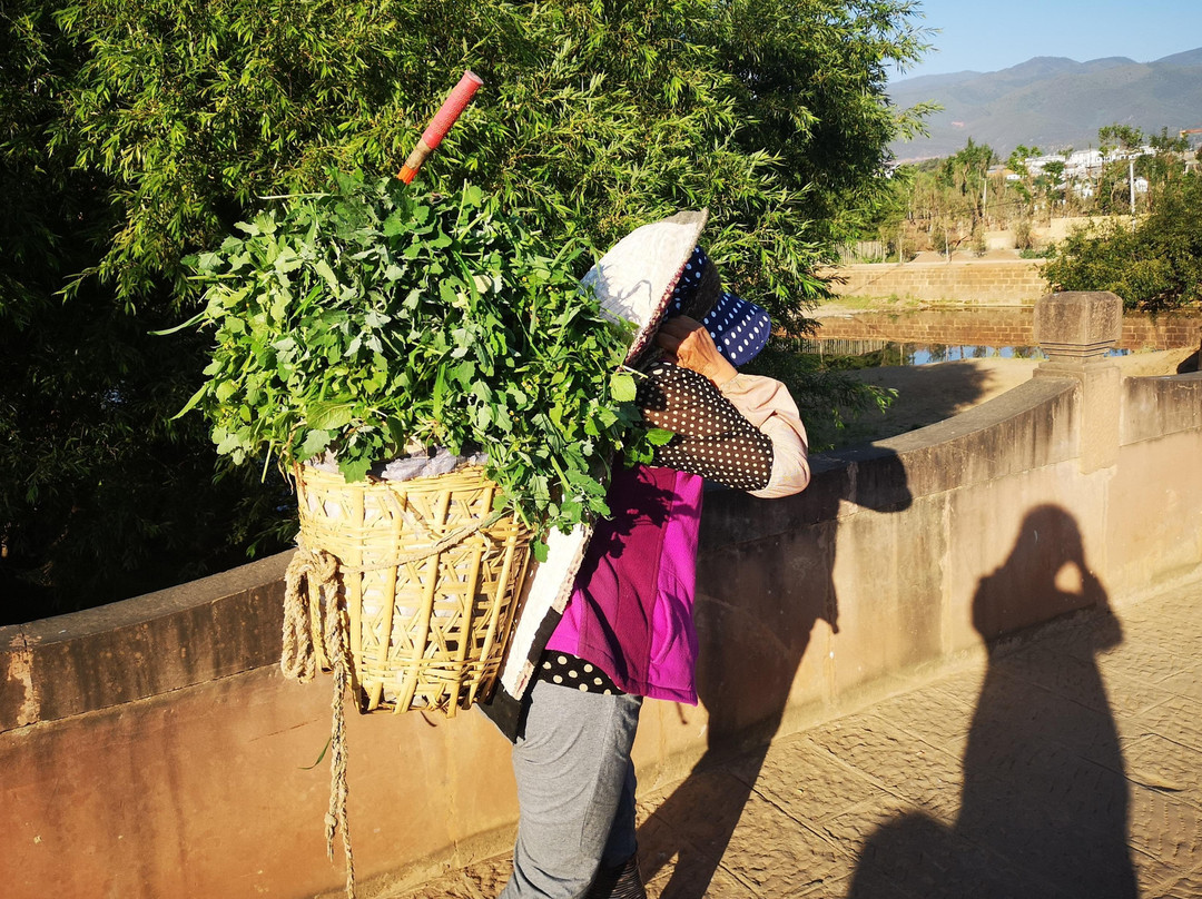 Trippest Travel-大理市必去景点