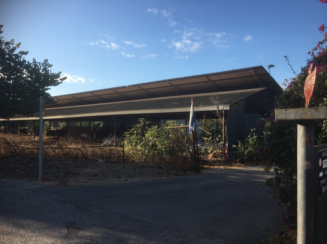 Arbel Guest House Shavit Family主图