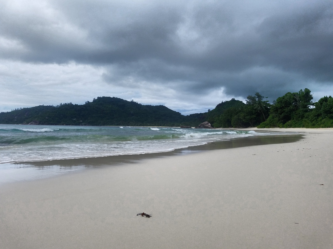 Baie Lazare Public Beach景点图片