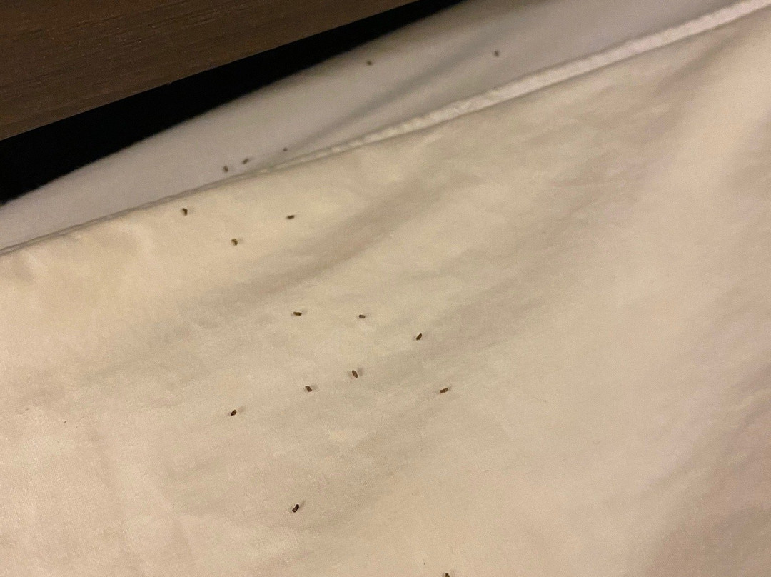 Orange County National Golf Center and Lodge主图