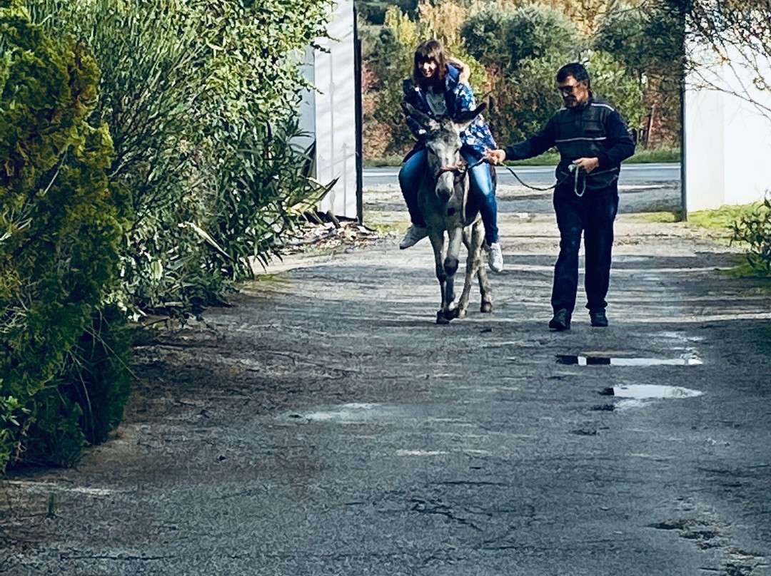 Quinta do Freixo主图