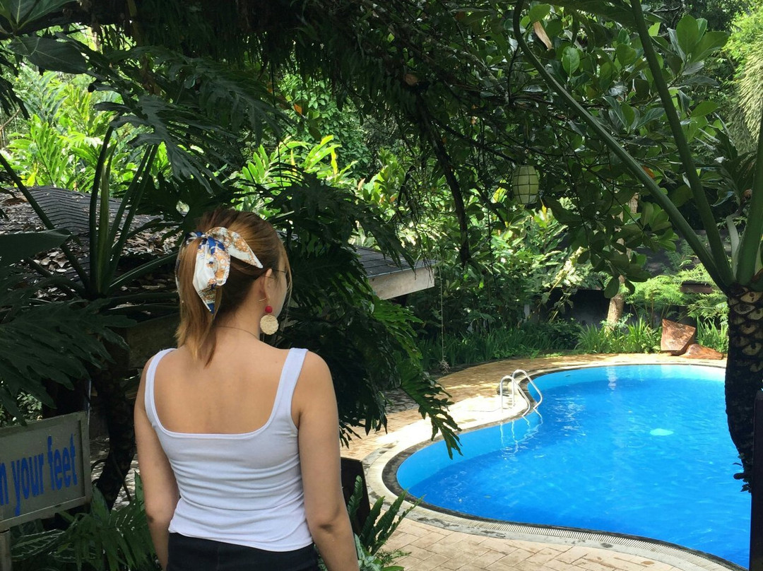 Valentino Resort and Spa主图