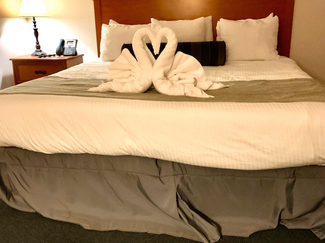 The Terrace at Lake Junaluska主图