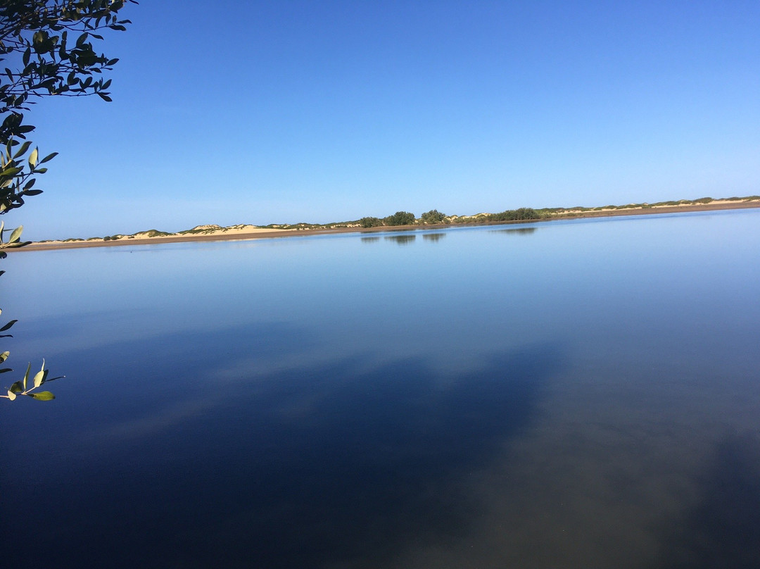 Honko Community-Based Mangrove Reserve景点图片