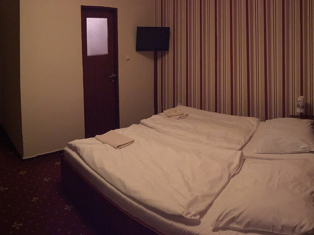 Hotel Hynek主图