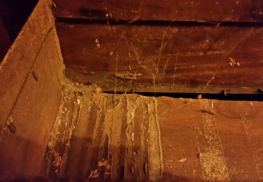 陆地洛格斯洛奇酒店主图