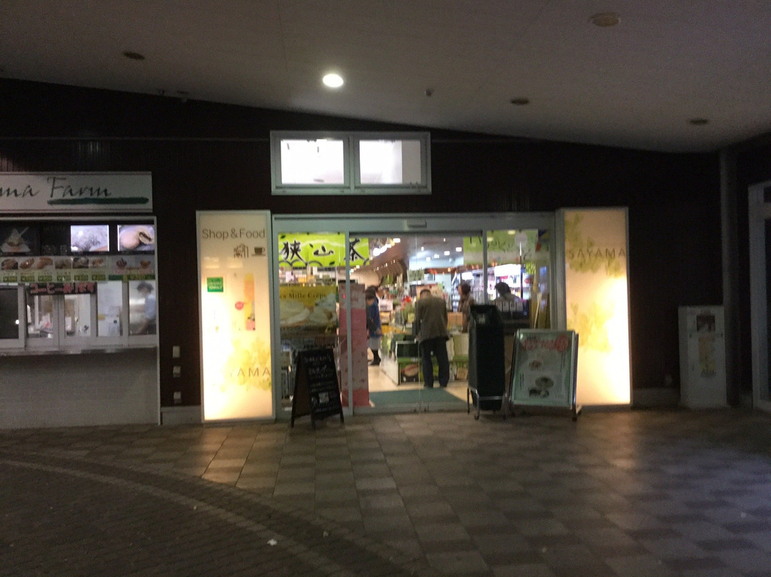 Sayama Parking Area Outside-狭山市必去景点