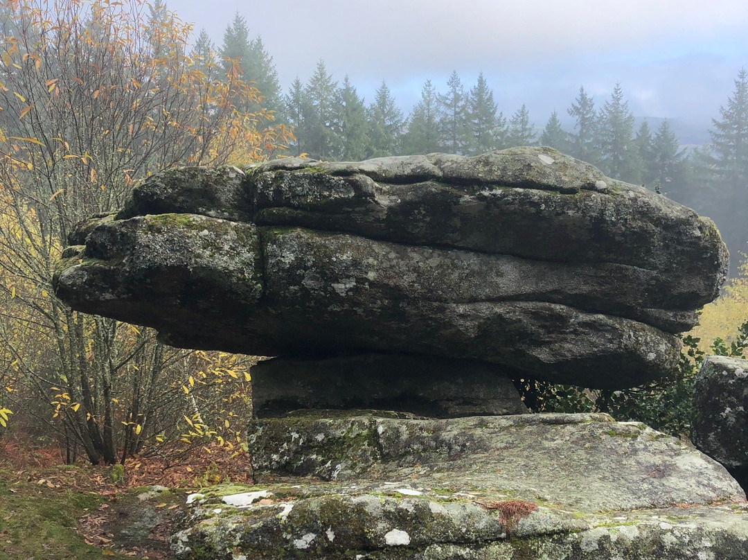 Maison Grand Champ主图