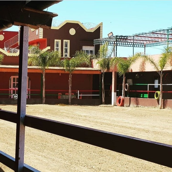 Ferme Equestre Yassmine-Madagh必去景点