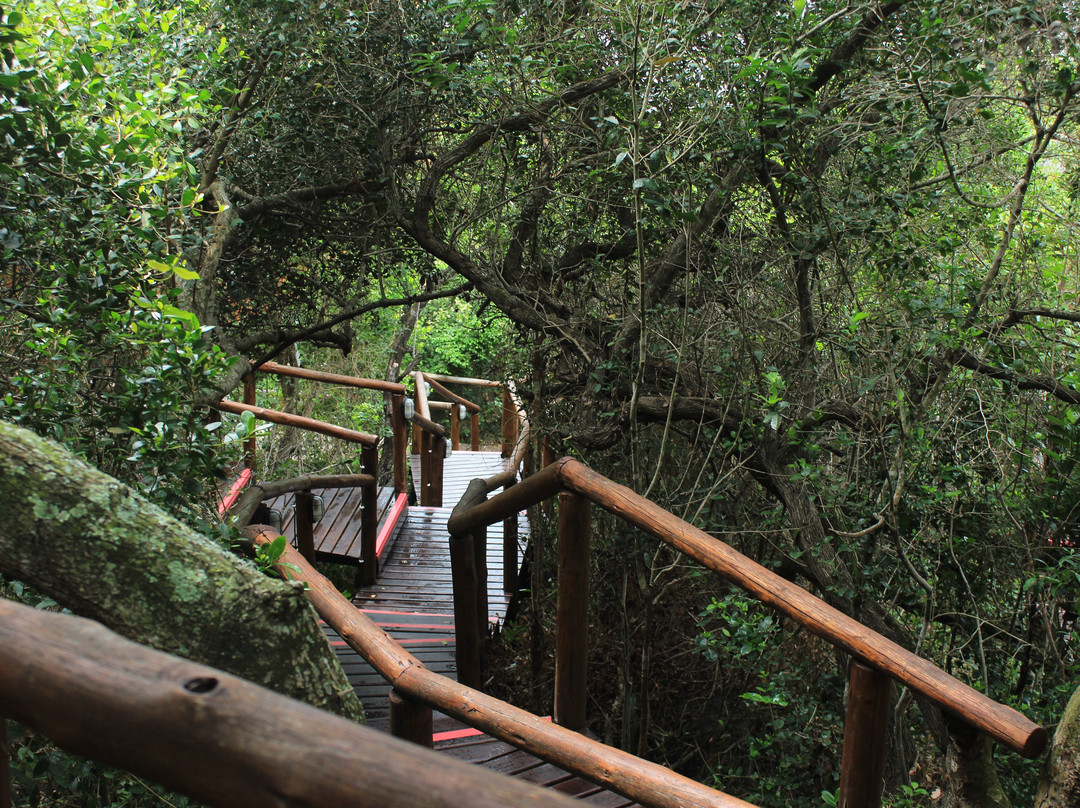 Humula Beach Resort主图