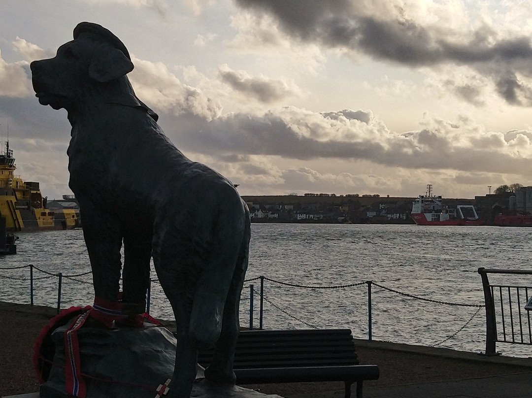Bamse Statue-Montrose必去景点