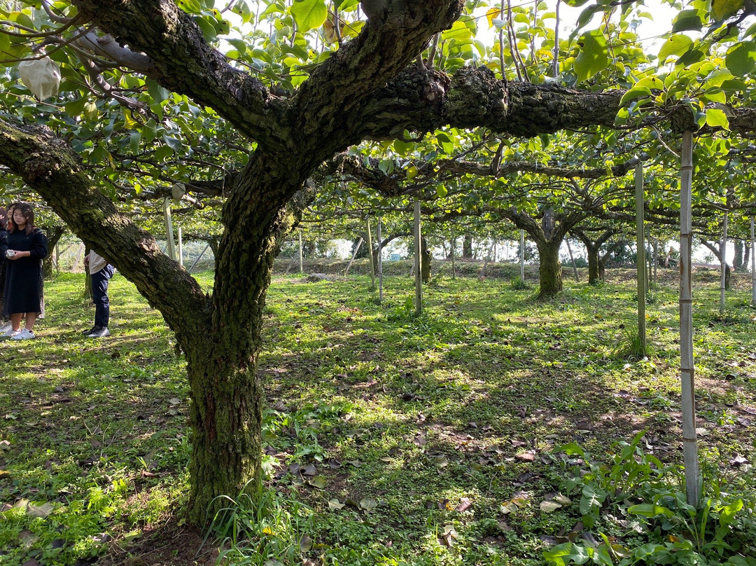 Shunkoen-浮羽市必去景点