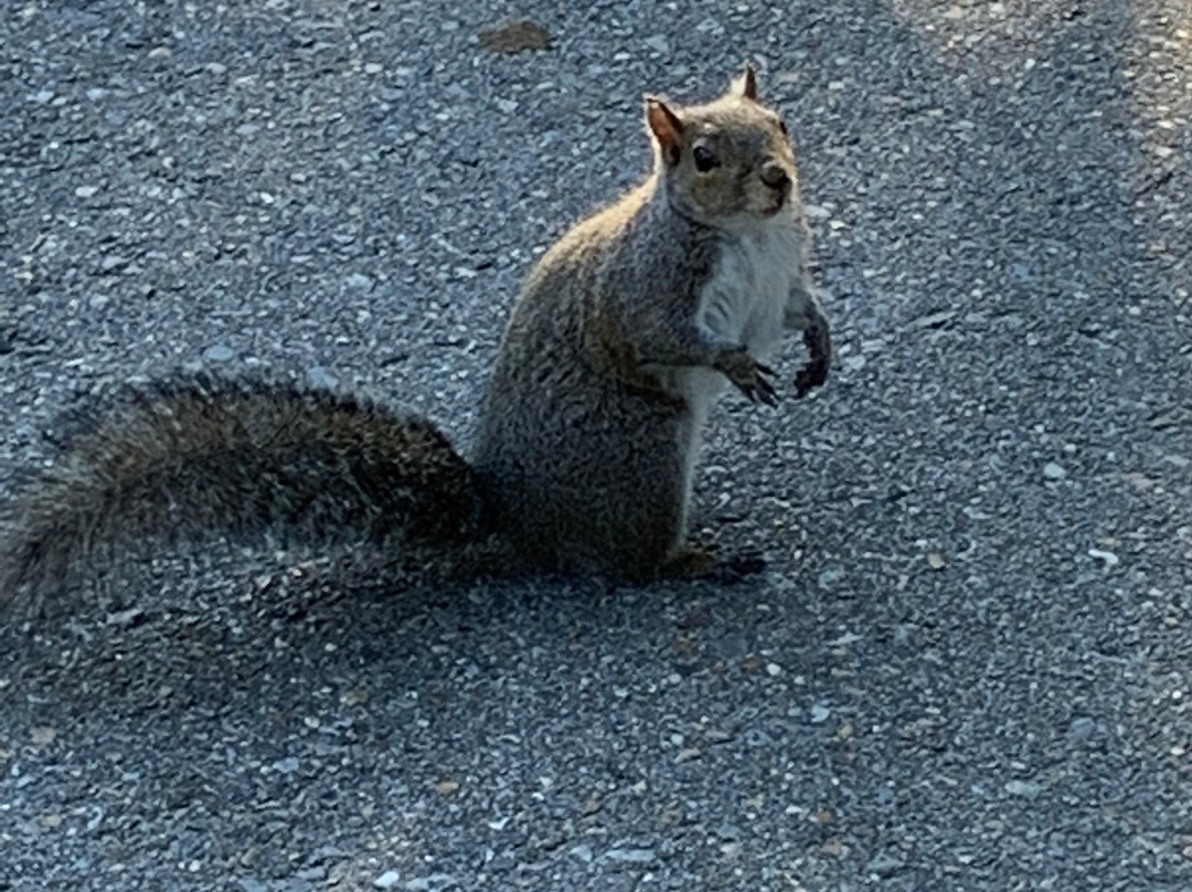 奥杜邦公园-新奥尔良必去景点