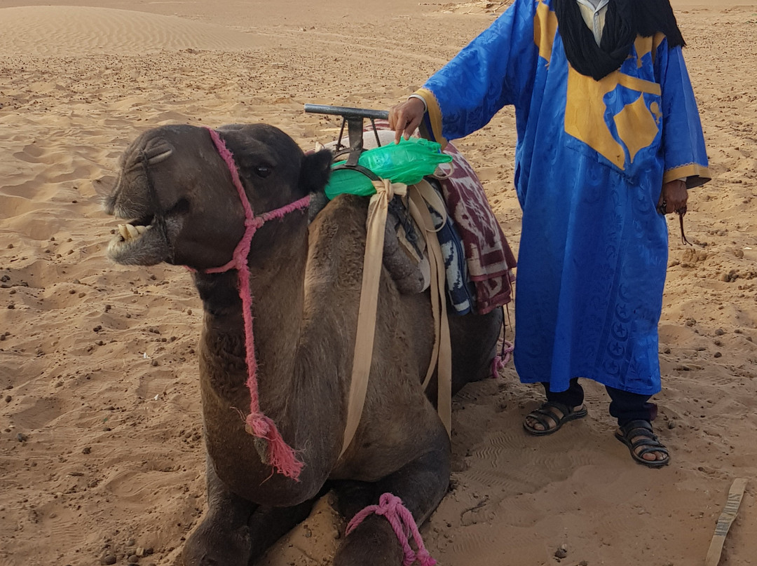 Loud Sahara Day Tours-扎古拉必去景点