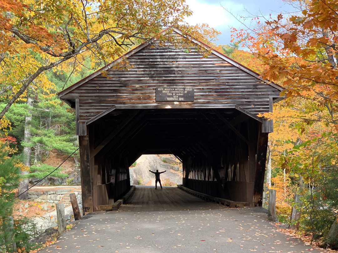 Albany Covered Bridge景点图片