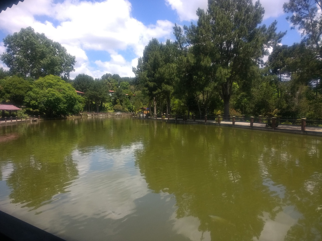 Piazito Park Hotel主图