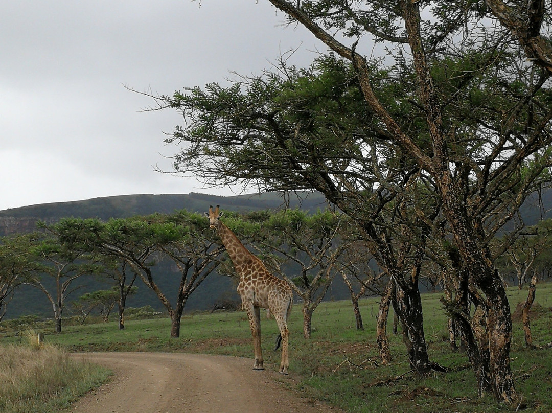 Cumberland Nature Reserve-彼得马里茨堡必去景点