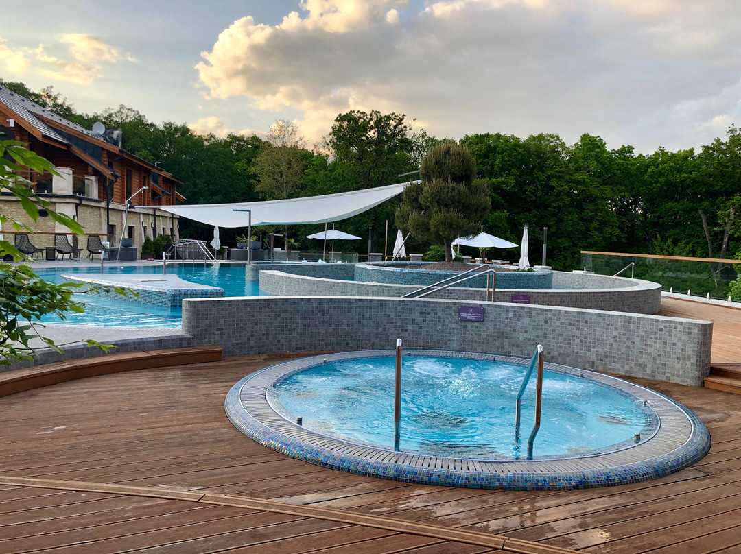 Avalon Resort & Spa主图