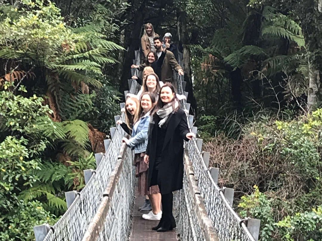 Talk of the Town Tours-惠灵顿必去景点