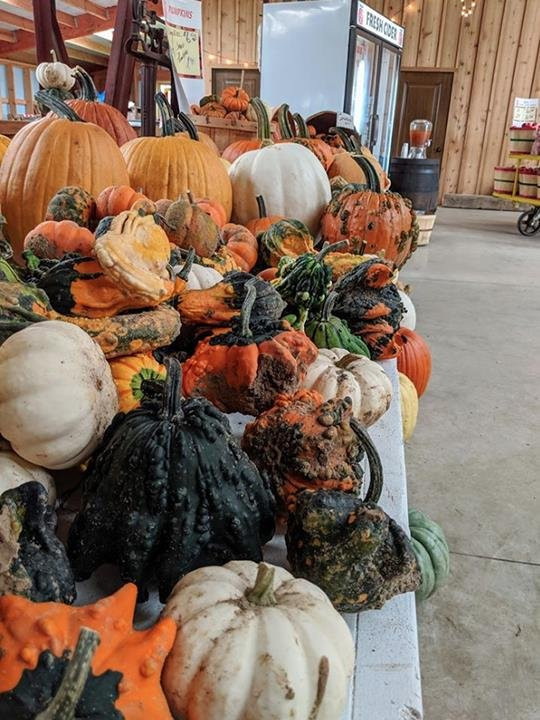 Ten Eyck Orchard-Brodhead必去景点