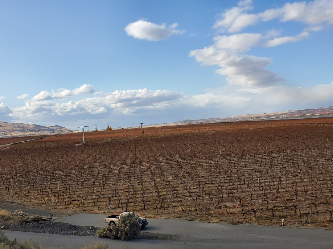 Kiona Vineyards and Winery景点图片