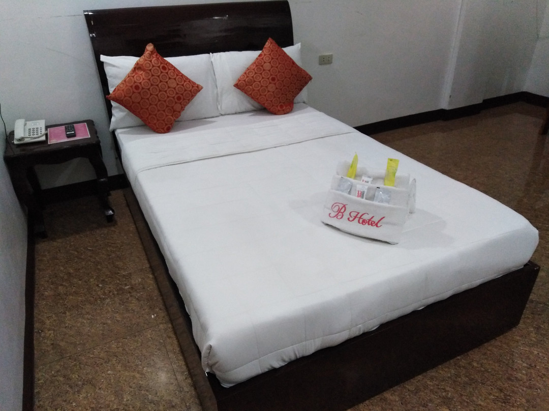 Bicotels Hotel主图