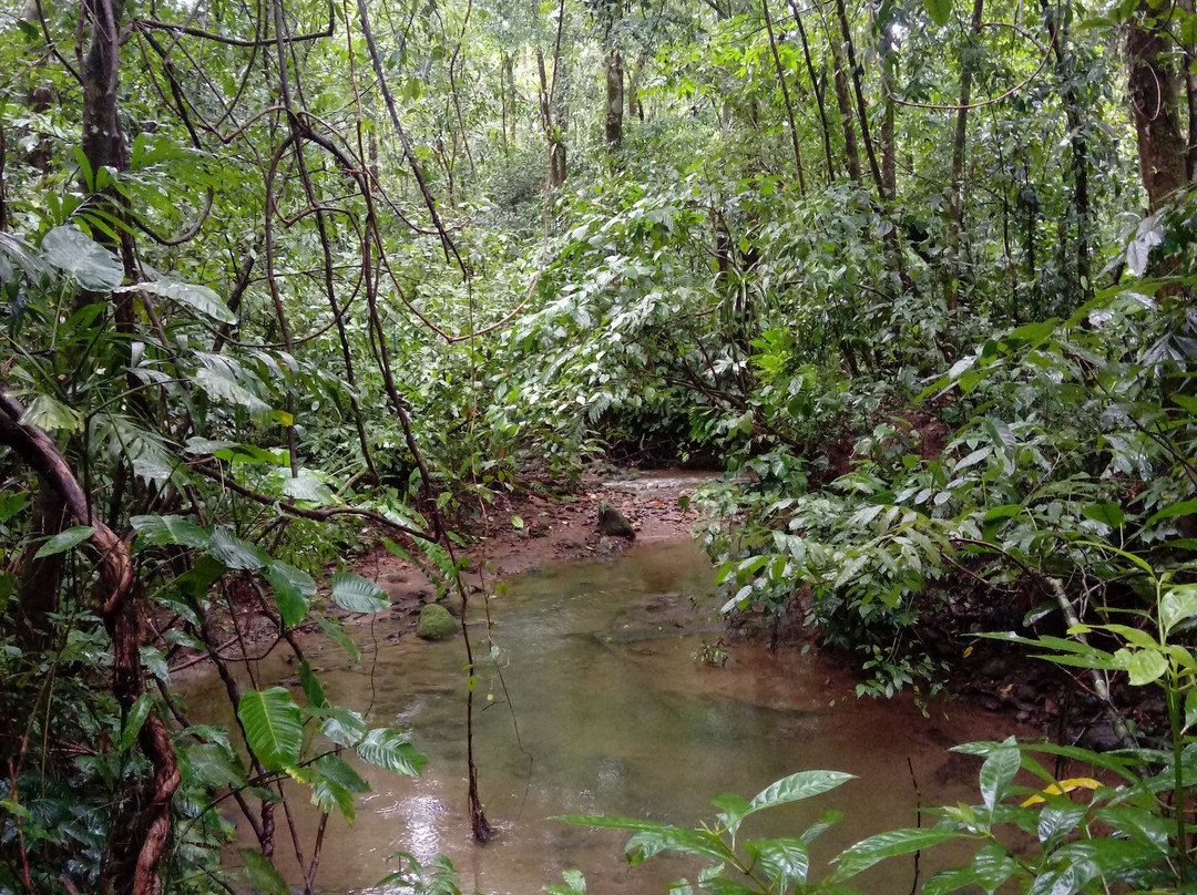 Sirena Ranger Station-Corcovado National Park必去景点