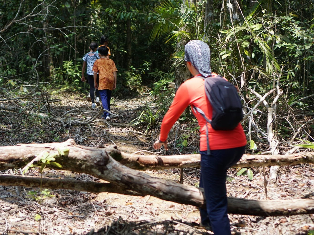 Kenong Rimba Park-瓜拉立卑必去景点