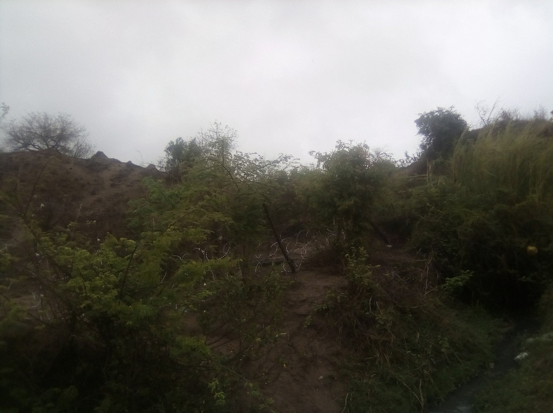 Africa Spear Kruger Park Safaris景点图片
