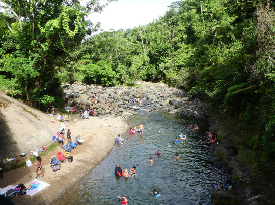 Puerto Rico Access Tours