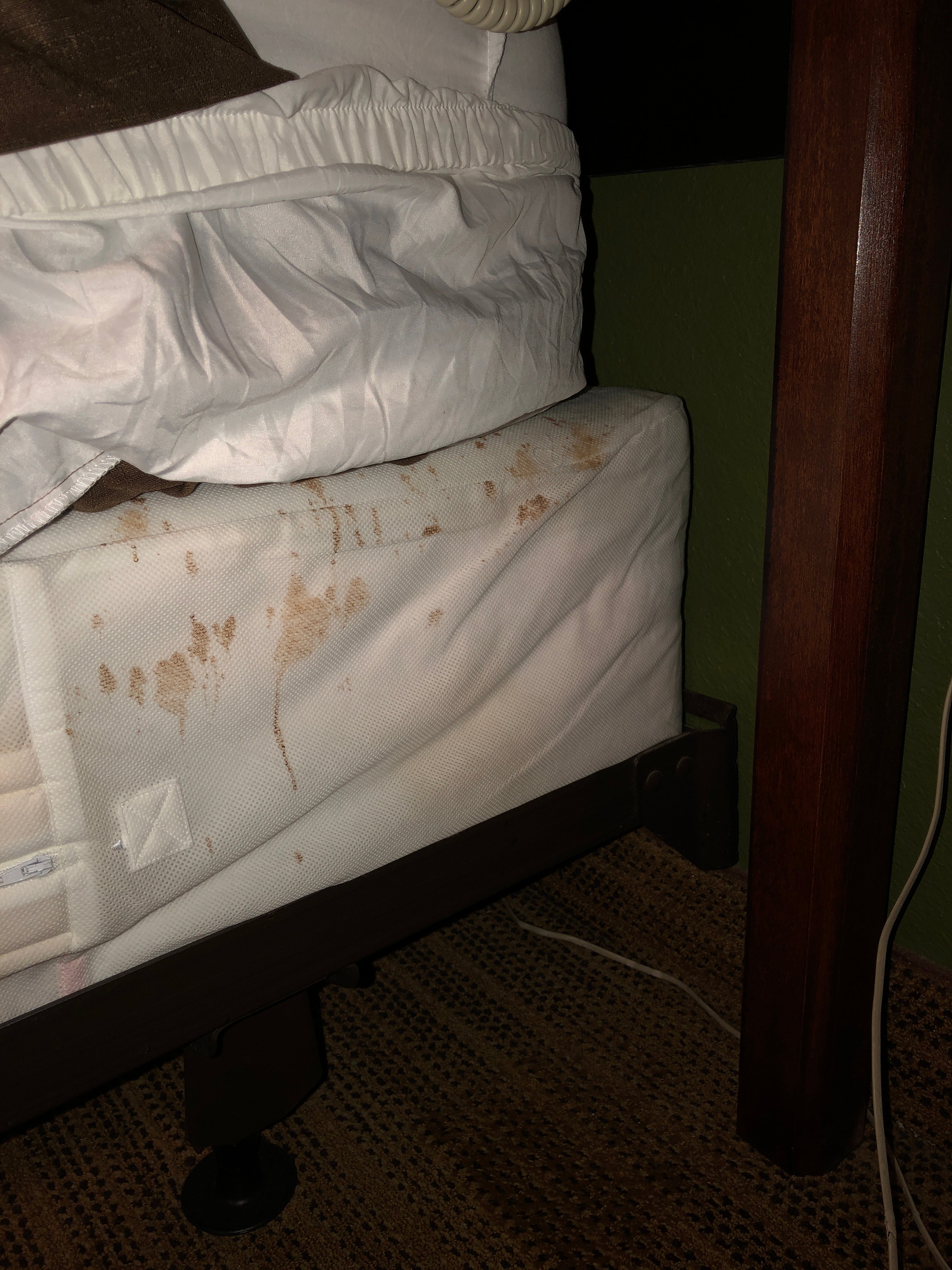 Extended Stay America - Washington, D.C. - Sterling-portrait