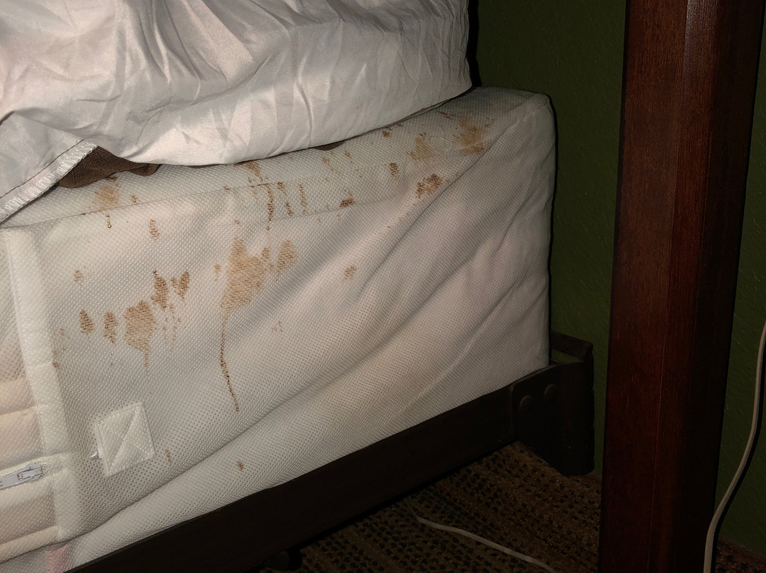 Extended Stay America - Washington, D.C. - Sterling主图