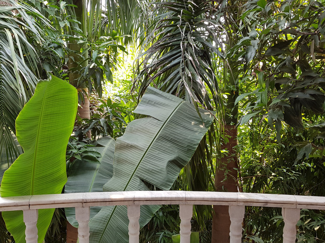 伊莎贝尔宫酒店主图