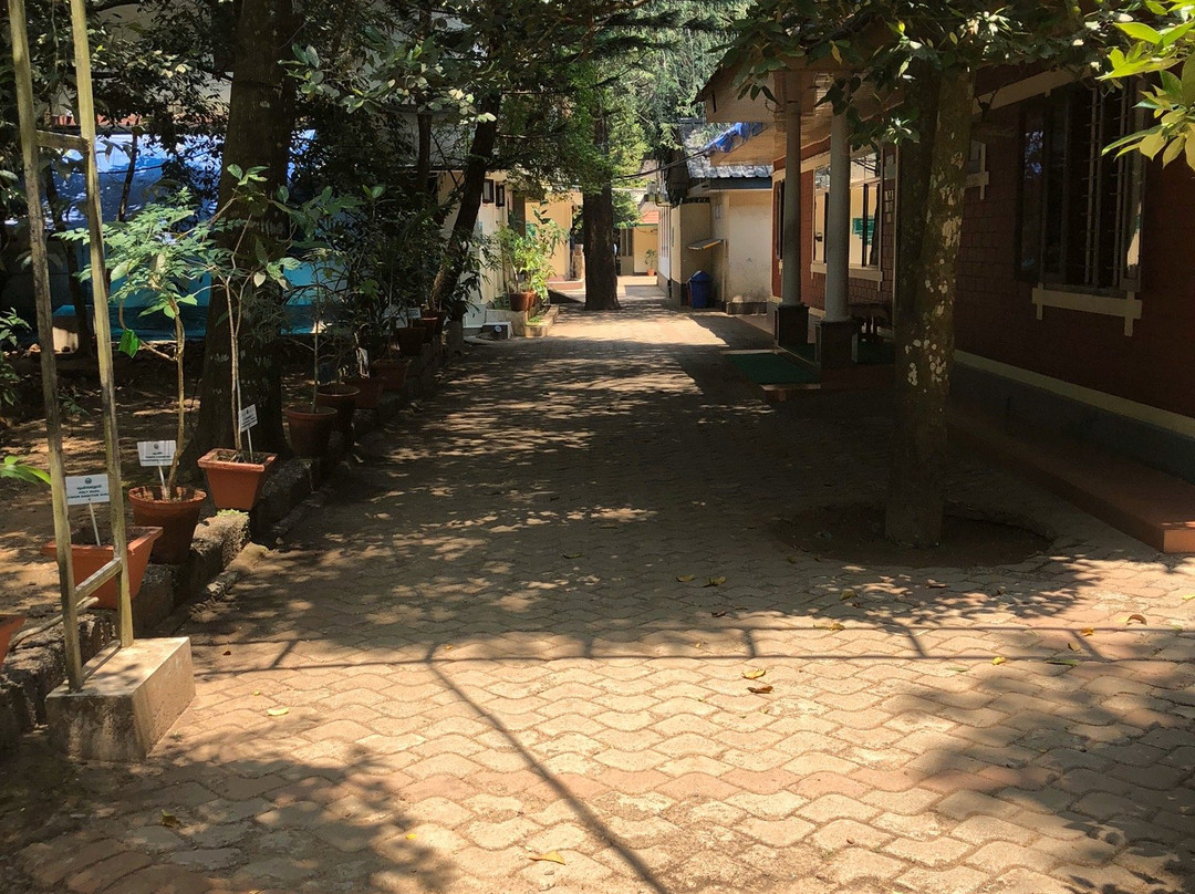 Nagarjuna Ayurvedic Centre景点图片