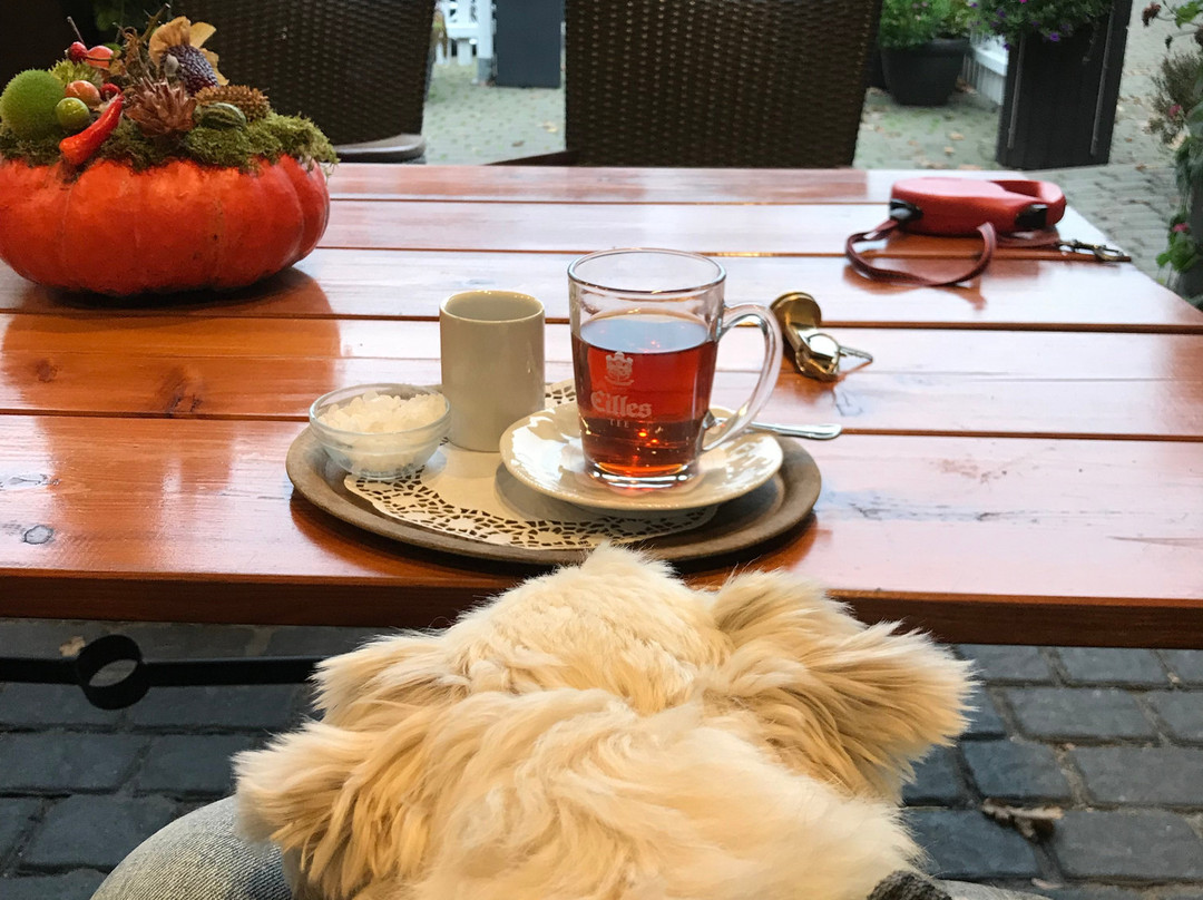 阿彻特灵登酒店主图