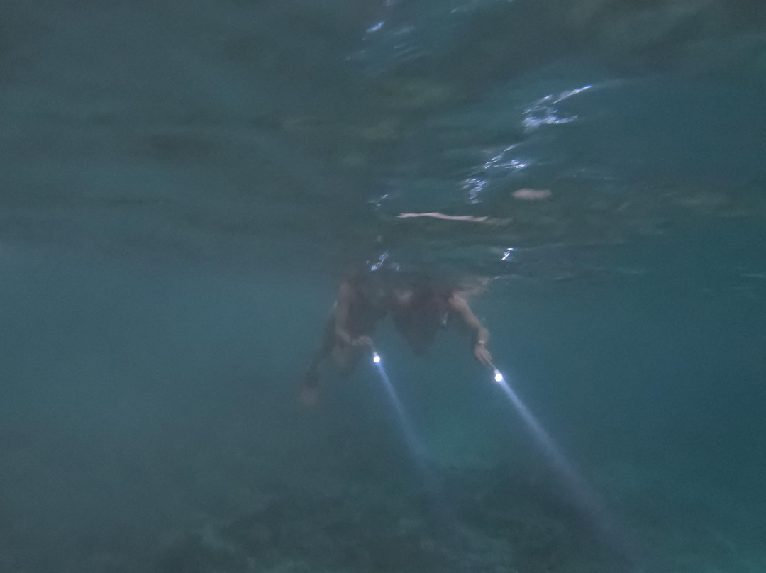 Night Snorkeling Adventure /Mauritius-Pointe d'Esny必去景点