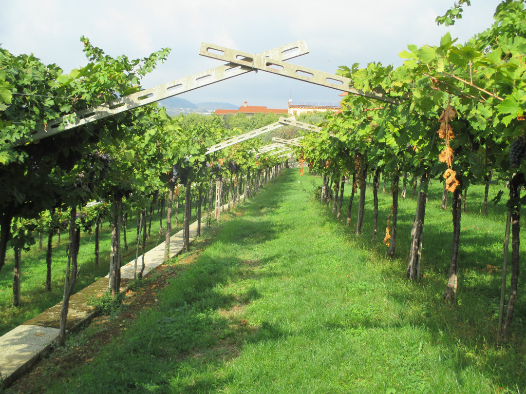 Vini Gamba-Valgatara必去景点