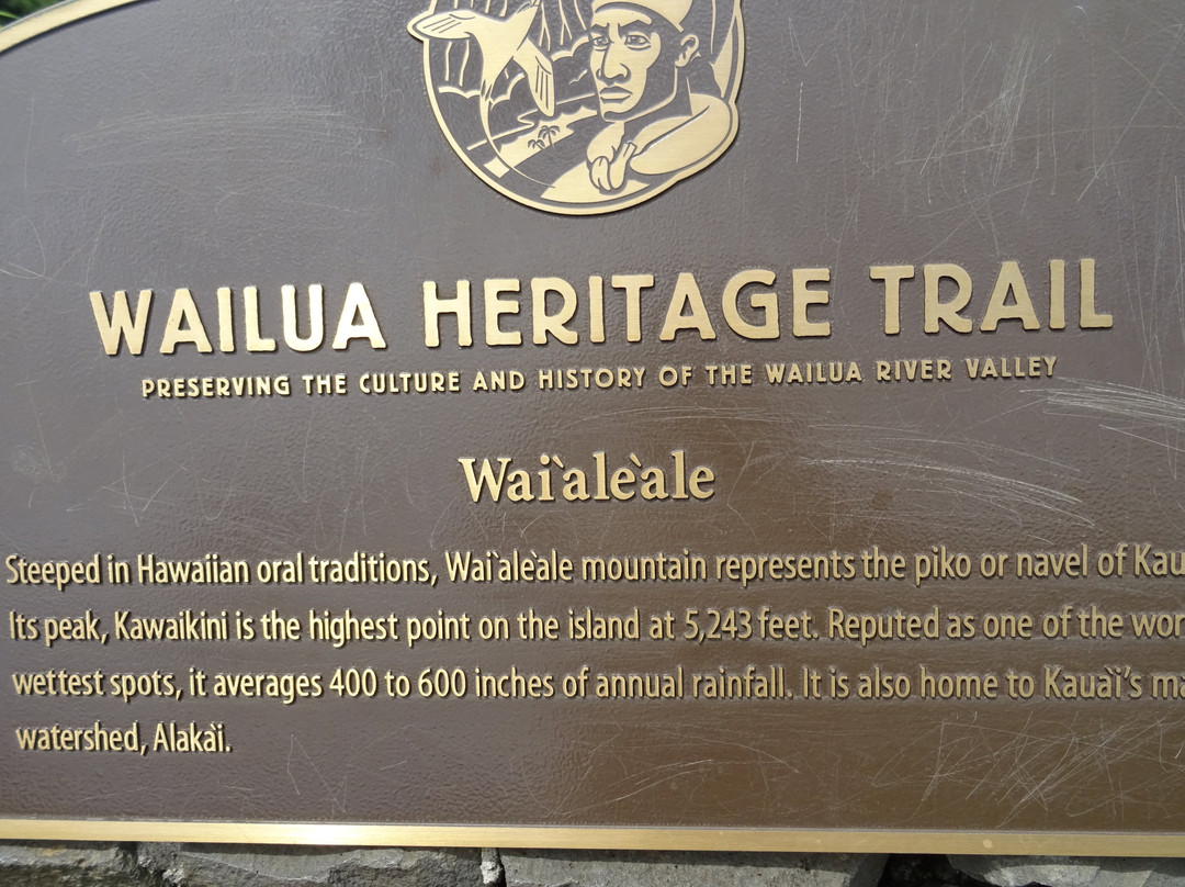 威鲁亚河州立公园-Wailua必去景点